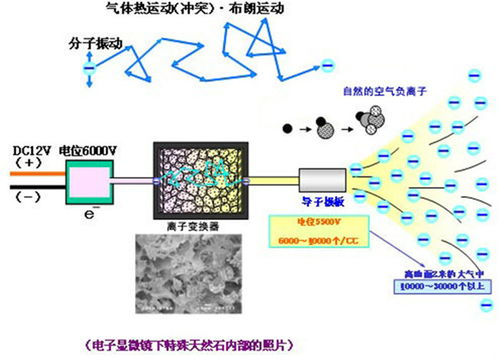 隨身便攜正負離子機 南陽便攜正負離子機 愛因你聚能廠家直銷