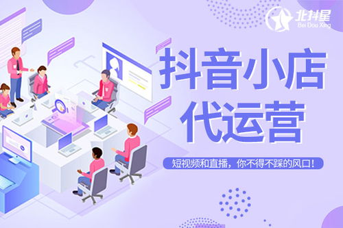 無錫互聯網創業項目網紅帶貨項目如何合作